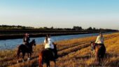 Horse riding