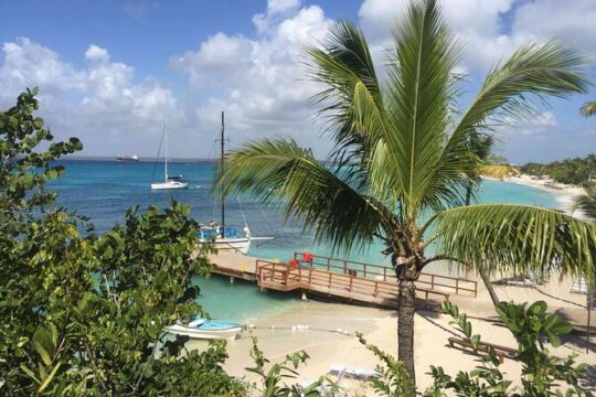 Isla Catalina Diving Sailing Snorkeling Experience from Bayahibe