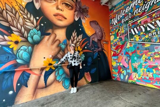 Miami Highlights tour: History, Art & Culture