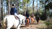 1st time horseback riding - checked off my bucket list