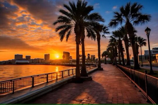 Tampa Riverwalk Street Food by the Bay 3 Hour Walking Food Tour