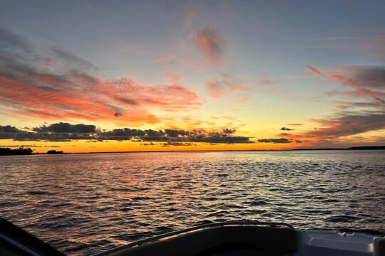 Private Dolphin Watching Sunset Cruise in Cape Coral