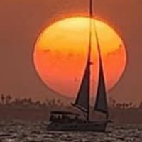 Holiday & Seasonal Tours