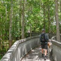 Hiking & Camping