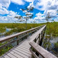 Private & Custom Tours