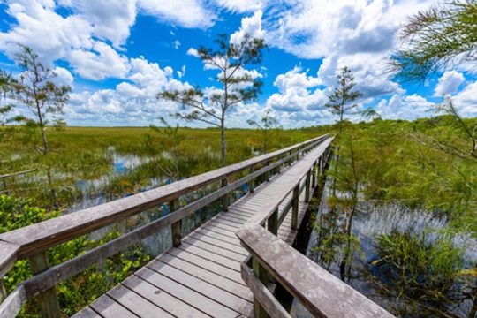 President's Day in Everglades National Park