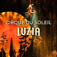 Theater, Shows & Musicals