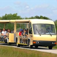 Volunteer Tours